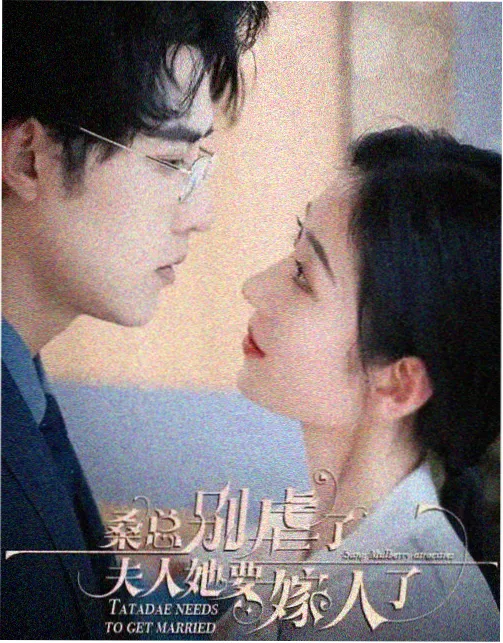 归途一九九八电视剧海报